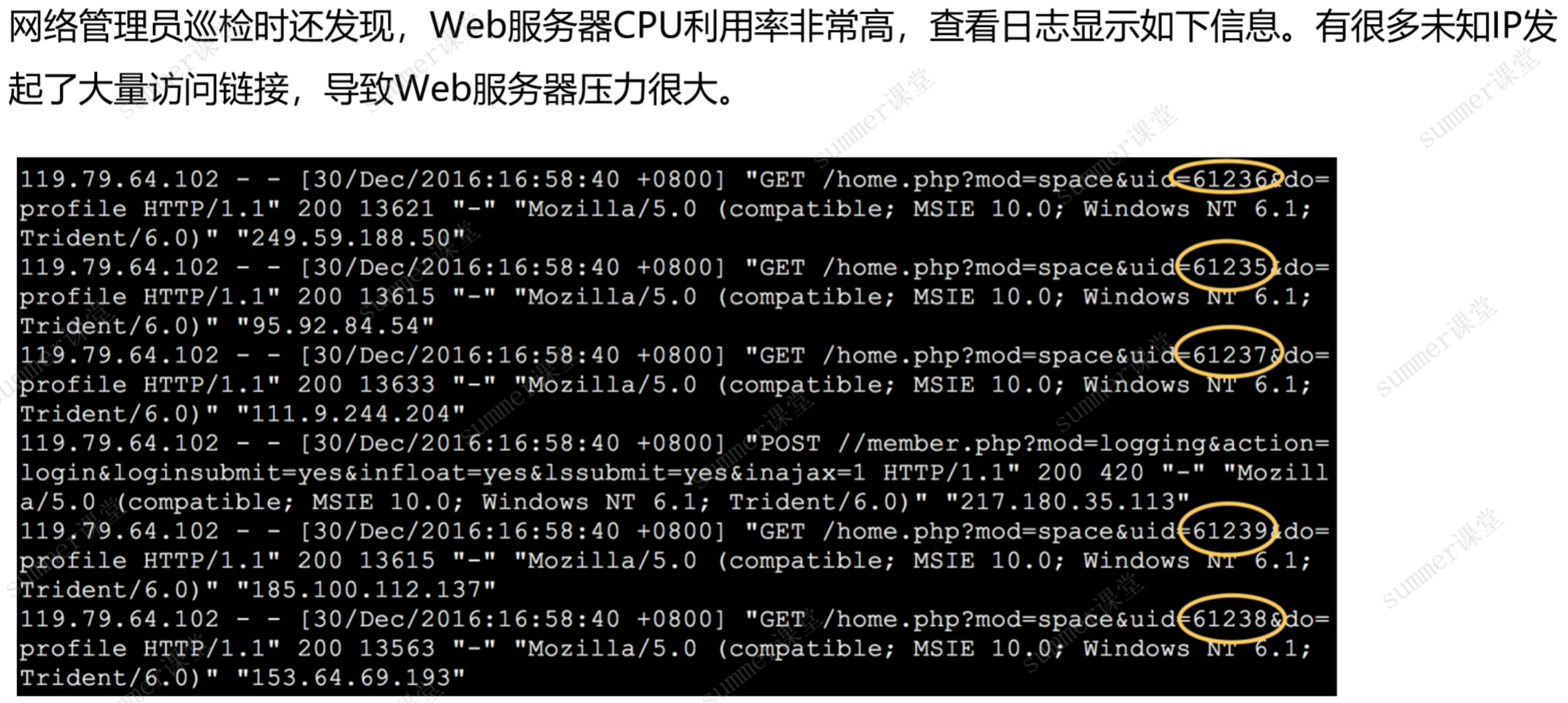 image-20250214161500368