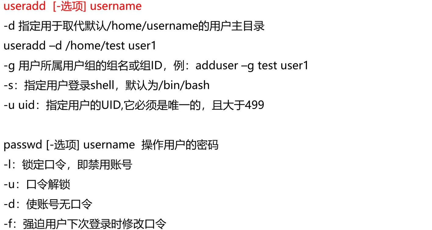 image-20250214225528170
