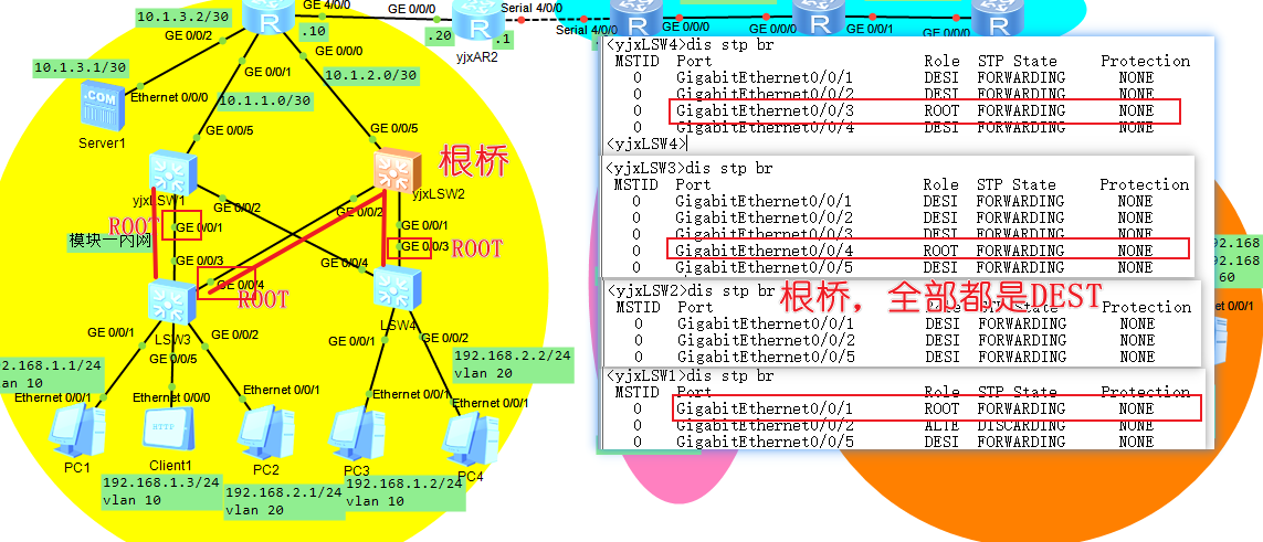 image-20250331110550315