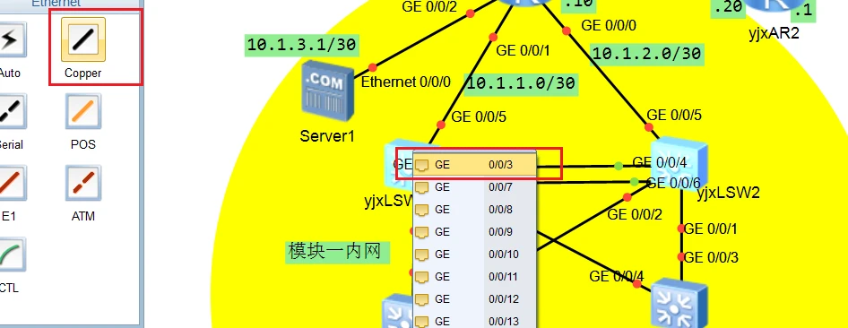 image-20250310110704741