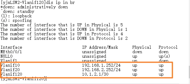 image-20250317110421476